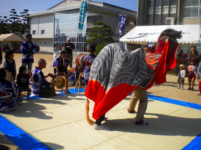 DSCN8218