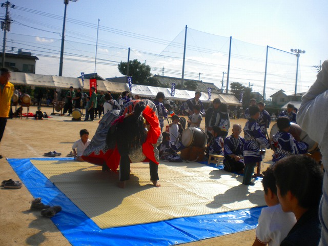 DSCN8222