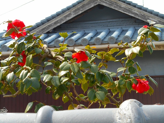 DSCN2484