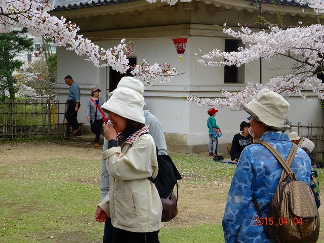 DSC01016