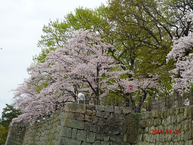 DSC01025