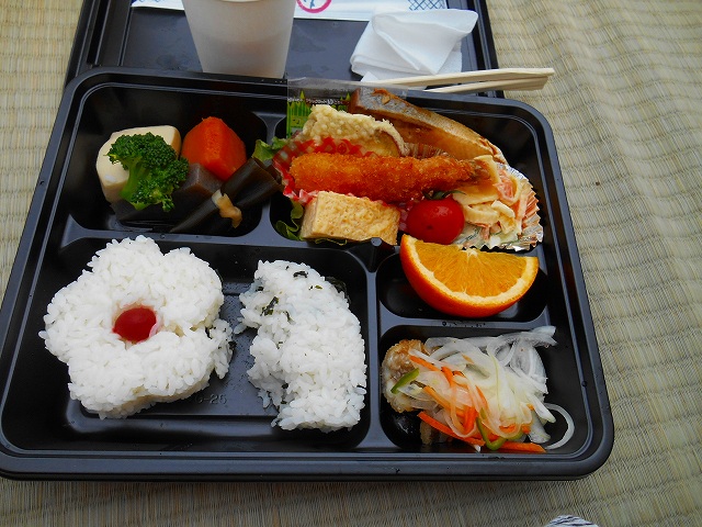DSCN2529