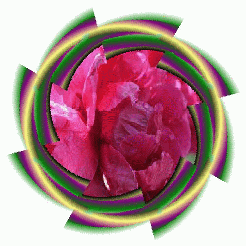 murai