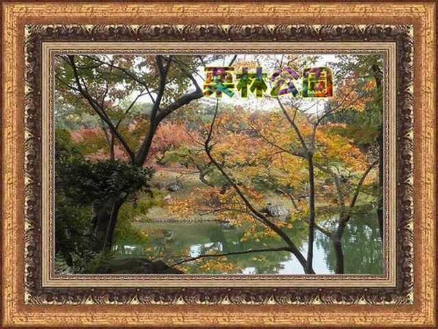 DSCF1553-1