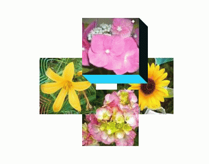 !cid_75979557133A403F9FF4CF94D65900D5@FUJITAPC